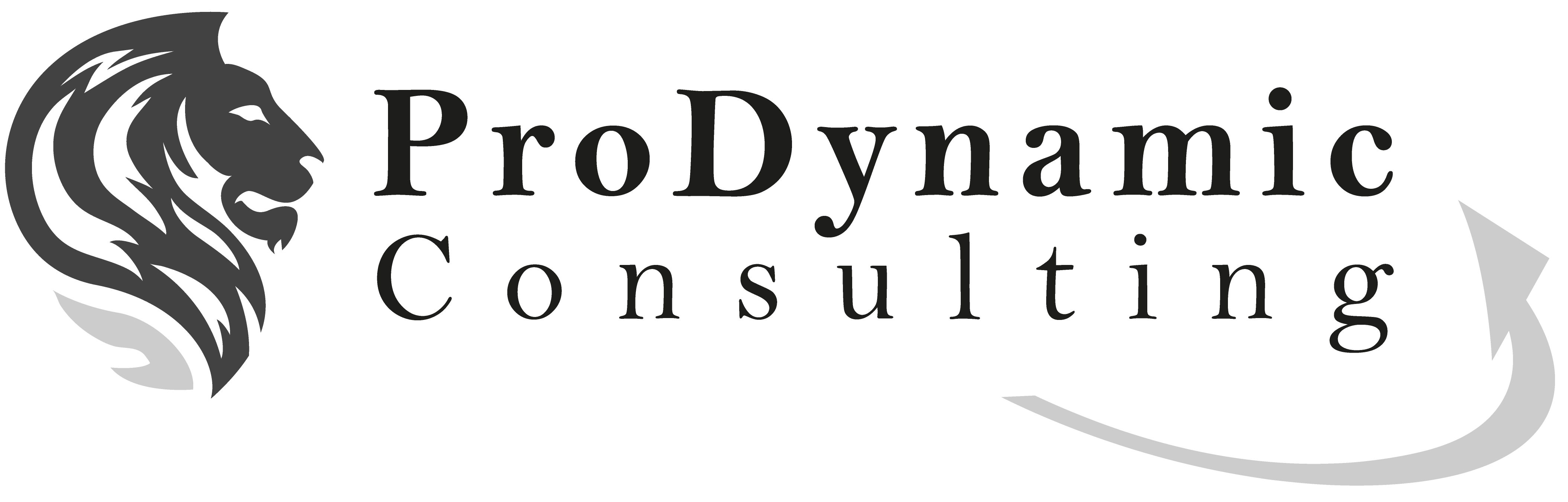 ProDynamic Consulting GmbH
